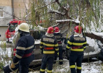 FOTO Un copac a căzut peste trei autoturisme parcate în zona Metro