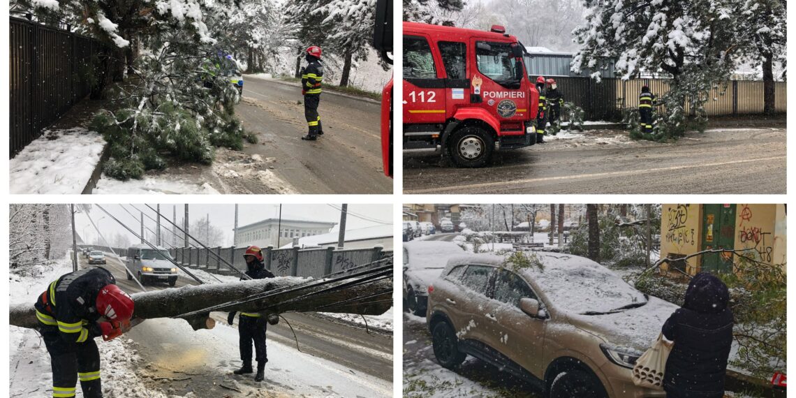 FOTO Mai mulți copaci din municipiul Suceava au cedat sub greutatea zăpezii. Pompierii militari au intervenit pentru defrișarea acestora