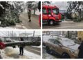 FOTO Mai mulți copaci din municipiul Suceava au cedat sub greutatea zăpezii. Pompierii militari au intervenit pentru defrișarea acestora