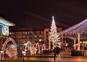 Primăria Suceava a plătit circa 9.000 de euro pentru „kit arcadă luminoasă formată din 5 elemente/arcade”