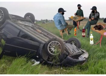Peripețiile a patru indivizi care au devenit hoți după câteva pahare. Echipați cu mănuși și șosete pe mâini, aceștia au spart un magazin din Liteni, au furat semințe, băutură și altele, s-au încălzit la un foc de coceni și au ajuns pe mâinile polițiștilor după ce s-au răsturnat cu mașina