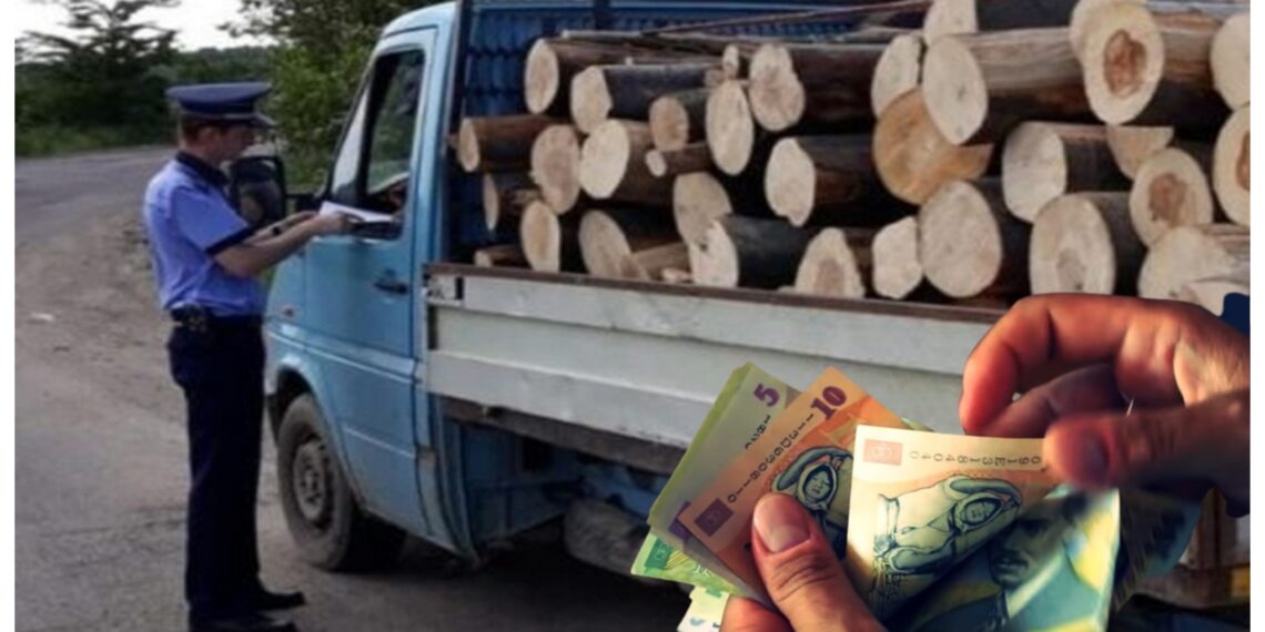Polițiștii vor procent din valoarea lemnului confiscat pentru a fi motivați să-și facă treaba. Președintele CNP Suceava: „Dacă vrem performanță eu zic că trebuie și motivație”