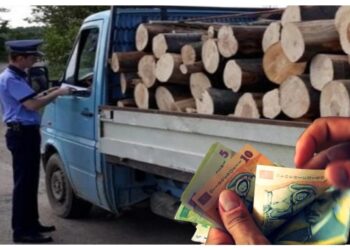 Polițiștii vor procent din valoarea lemnului confiscat pentru a fi motivați să-și facă treaba. Președintele CNP Suceava: „Dacă vrem performanță eu zic că trebuie și motivație”