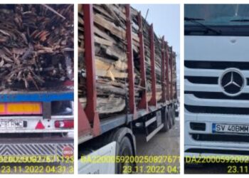 Polițiștii au confiscat 1,96 metri cubi de deșeuri rășinoase, transportate ilegal dinspre Frasin spre Suceava