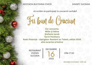 Sucevenii Andrei Bacoș și Vasile Bolohan organizează concertul caritabil ”Fii bun de Crăciun” pentru a duce copiii din centrele de plasament într-o excursie la munte