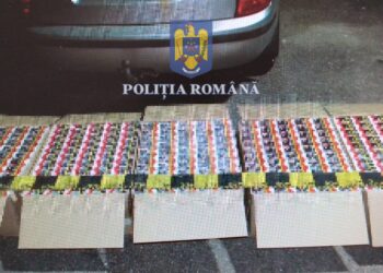 Un contrabandist de țigări a încercat să îi ducă de nas pe polițiștii de frontieră, ținându-i la poartă în timp ce el plimba coletele prin curte. Peste 10.000 de pachete cu țigări de contrabandă au fost găsite la locuința individului