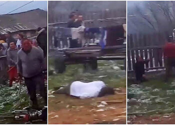 VIDEO cu răscoala din Gulia, pornită pe seama neînțelegerilor dintre doi minori sub 14 ani. Mascații SAS au intervenit între sălbaticii care se băteau cu pari, furci și topoare