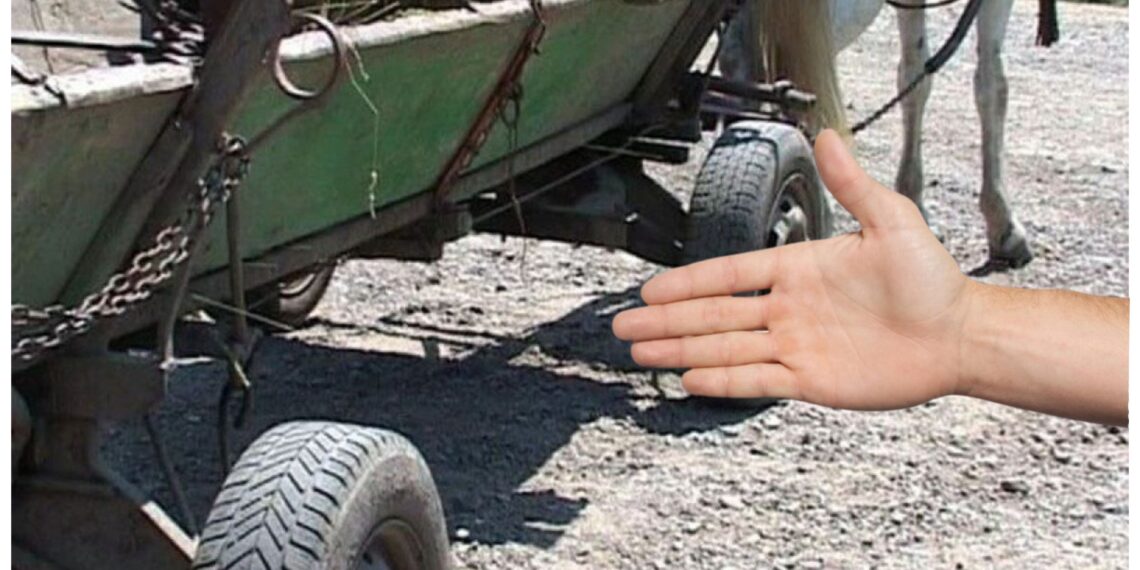 Un tânăr beat din Dolhasca, căruia nu-i mai ajungea drumul, l-a luat la palme pe un căruțaș