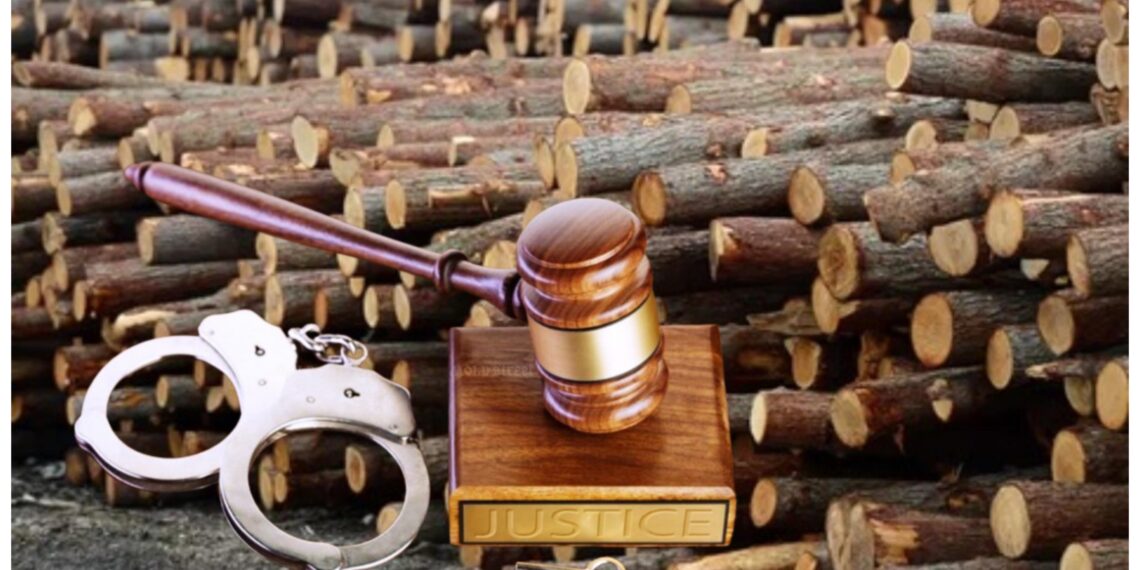 Tribunalul Suceava aplică o mică palmă ”Mafiei Lemnului”. Închisoare cu executare pentru un comisar-șef al IPJ Suceava, un fost șef al Gărzii Forestiere Suceava și doi afaceriști, printre care cumnatul fiului primarului din Moldovița