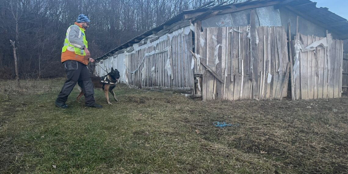 Câinele de urmă ”COH” l-a salvat în ultima clipă pe un tânăr dispărut. Victima a plecat de acasă, s-a ascuns într-un grajd și a așteptat ca frigul să-i curme suferința din dragoste