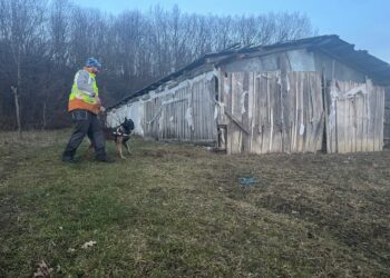 Câinele de urmă ”COH” l-a salvat în ultima clipă pe un tânăr dispărut. Victima a plecat de acasă, s-a ascuns într-un grajd și a așteptat ca frigul să-i curme suferința din dragoste