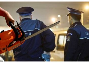 Sălbaticul din Slatina, care a fost arestat preventiv pentru ultraj, i-a amenințat cu moartea pe doi polițiști având în mâini o drujbă pornită pe care o tura