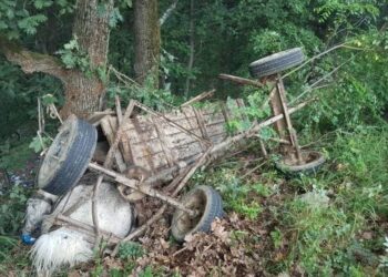 Un căruțaș beat a ajuns la spital după ce a căzut în albia pârâului Voievodeasa. Rănile de la nivelul feței nu i-au permis individului să sufle în aparatul etilotest