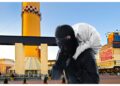 Unui clujean i s-a furat geaca în Iulius Mall Suceava, de Ziua Națională a României