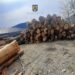 FOTO Patru polițiști, doi specialiști ai Gărzii Forestiere Suceava și un lucrător de la Direcția Silvică Suceava au confiscat peste 100 de metri cubi de material lemnos de la trei operatori economici. Au fost aplicate amenzi de 47.000 de lei