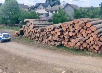 Polițiștii și lucrătorii Gărzii Forestiere au descoperit mai multe nereguli la un gater din zona Pojorâta. Printre altele, firma nu a efectuat în toate cazurile fotografii pentru SUMAL în care să focalizeze întreagă încărcătură