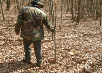 Doi indivizi care l-au bătut pe un pădurar și-au aflat condamnările definitive. Unul a primit închisoare cu executare, iar celălalt cu suspendare