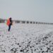 Drumarii montează 13.500 de metri liniari de parazăpezi în zona drumului E85, unde sunt cozi kilometrice de camioane