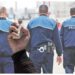Decizie definitivă. Amendă penală micșorată pentru individul care i-a atacat cu pietre pe polițiștii ce și-au permis să tragă pe dreapta un autoturism avariat