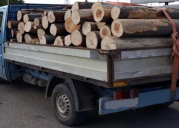 Polițiștii suceveni au depistat două transporturi ilegale de material lemnos, care transportau în total 7,78 metri cubi de lemne