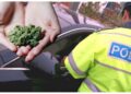 4.000 de lei amendă penală pentru un șofer cherchelit care s-a băgat singur în bucluc, după ce s-a luat la întrecere cu polițiștii și a ținut morțiș să intre în secția de poliție cu câteva grame de canabis asupra sa. Instanța i-a returnat aproape 12 grame de buruieni