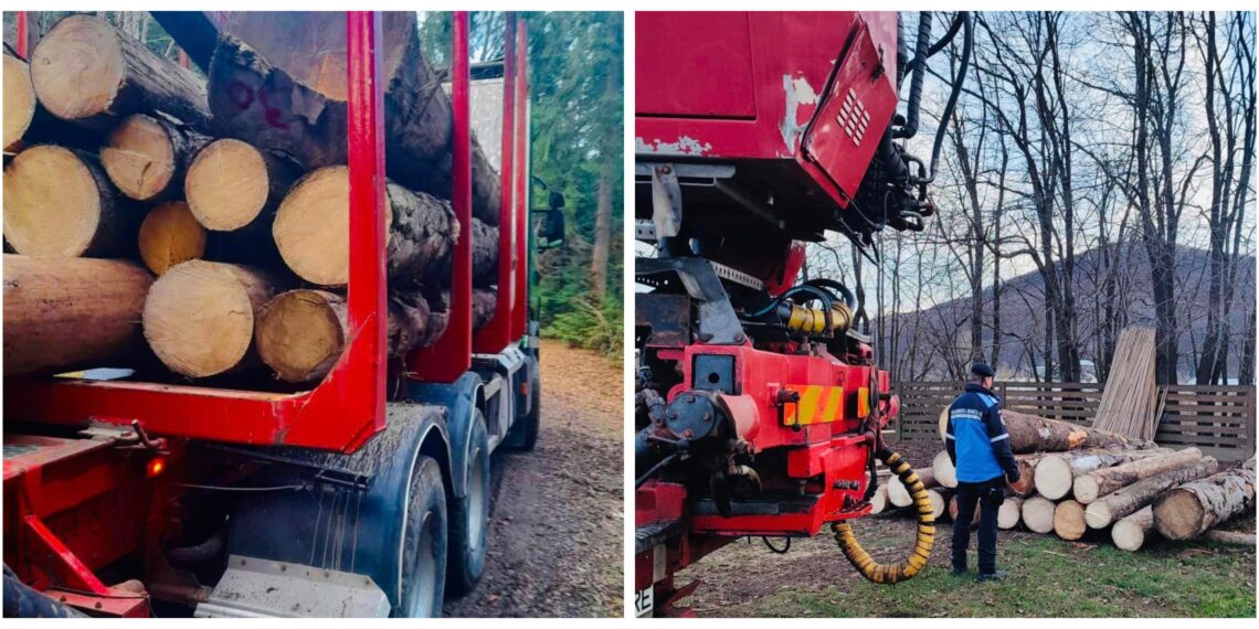 Jandarmii din Gura Humorului au depistat un camion care transporta ilegal 7,15 metri de material lemnos