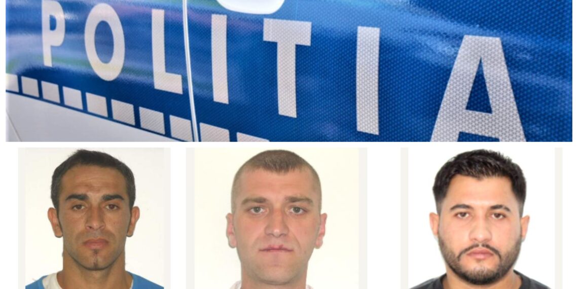 Trei suceveni și-au făcut loc pe lista persoanelor urmărite la nivel național. ”Shaolin” din Pătrăuți se ascunde iar de Poliție