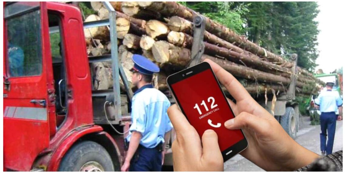 Activistul de mediu Dănuț Ghinghiloschi, amendat cu 2.000 de lei pentru că a sunat la 112 și a sesizat că un camion transportă lemne fără aviz. Sesizarea nu s-a confirmat