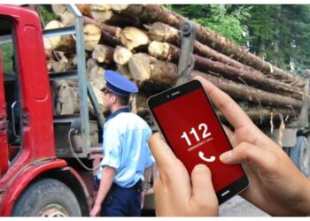Activistul de mediu Dănuț Ghinghiloschi, amendat cu 2.000 de lei pentru că a sunat la 112 și a sesizat că un camion transportă lemne fără aviz. Sesizarea nu s-a confirmat
