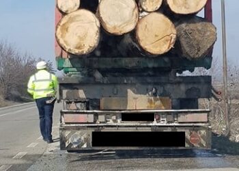 Polițiștii au confiscat aproape 7 metri cubi de material lemnos transportat ilegal de către un tânăr de 24 de ani