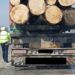 Polițiștii au confiscat aproape 7 metri cubi de material lemnos transportat ilegal de către un tânăr de 24 de ani