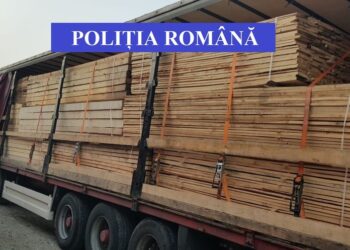 Cherestea confiscată de polițiști și ansamblu de vehicule indisponibilizat după un control în trafic
