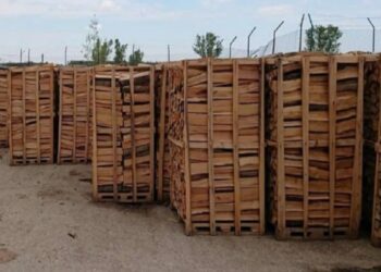 Cantitățile de lemne pentru foc pe care Ocoalele Silvice Broșteni și Falcău le-au scos la vânzare