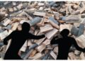 Un bărbat a fost bătut pentru că nu a acceptat să-și ia țeapă cu lemne de foc