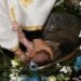 Arhiepiscopia Sucevei și Rădăuților, după ce IML București a publicat raportul privind motivul decesului bebelușului din Suceava, care s-a stins din viață imediat după botez: ”O contestație a raportului este un demers firesc, pentru a avea o constantă a concluziilor”