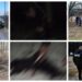 VIDEO Un copil de 10 ani a filmat momentul în care un tânăr sucevean înjunghie de circa 40 de ori un câine spânzurat și pe urmă se chinuie să îl decapiteze. Făptașul și-a bătut joc de polițiști plimbându-i prin sat, iar pe urmă le-a spus că animalul a înviat: ”Dacă e al meu te omor mâine dimineață eu pe tine”