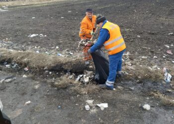 DRDP Iași a strâns o parte din gunoaiele TIR-iștilor care au stat în coloana de camioane spre Vama Siret. S-au adunat șapte tone de deșeuri pe o distanță de șase kilometri