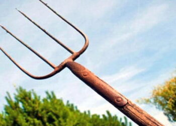 Trei ani de închisoare cu suspendare pentru un bărbat care a înfipt furca în fratele său. Cei doi s-au luat la bătaie, după ce inculpatul a înjurat calul: ”El este de obicei liniştit dar când bea parcă nu mai judecă”