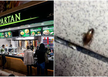 Restaurant Spartan, amendat cu 60.000 de lei. Comisarii ANPC au găsit colonii de gândaci în bucătărie