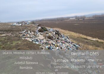 Servicii Comunale SA Rădăuți a primit amenzi în valoare de peste 200.000 de lei pentru că a depozitat brazi de Crăciun, cadavre de animale, canapele, anvelope uzate și alte deșeuri în fosta groapă de gunoi din Rădăuți