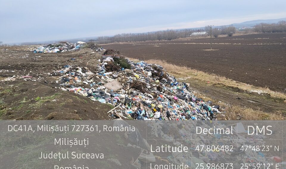 Servicii Comunale SA Rădăuți a primit amenzi în valoare de peste 200.000 de lei pentru că a depozitat brazi de Crăciun, cadavre de animale, canapele, anvelope uzate și alte deșeuri în fosta groapă de gunoi din Rădăuți