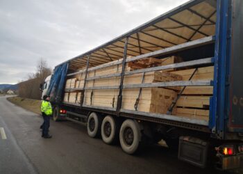 FOTO Polițiștii suceveni au aplicat amenzi de peste 21.000 de lei transportatorilor de lemne, în circa 8 ore. Peste 20 de metri cubi de material lemnos a fost confiscat