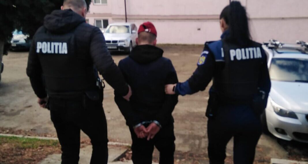 Un tânăr de 17 ani, din Vatra Moldoviței, a fost reținut pentru că a schingiuit doi câini. Unul dintre câini a murit