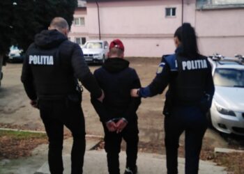 Un tânăr de 17 ani, din Vatra Moldoviței, a fost reținut pentru că a schingiuit doi câini. Unul dintre câini a murit