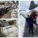 FOTO Șoferul camionului care s-a răsturnat într-un pârâu din Valea Putnei a fost internat la Secția de Chirurgie Toracică, din SJU Suceava