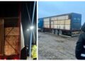 VIDEO Activistul de mediu Daniel Bodnar și echipa sa au servit pe tavă polițiștilor din Bacău și Vrancea două transporturi ilegale de cherestea. Ambele ansambluri de vehicule au fost indisponibilizate