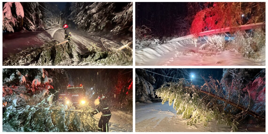 FOTO Șoferii au anunțat la 112 mai multe căderi de arbori pe carosabil pe raza localităților Crucea, Vatra Dornei, Adâncata și Ciocănești, noaptea trecută