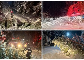 FOTO Șoferii au anunțat la 112 mai multe căderi de arbori pe carosabil pe raza localităților Crucea, Vatra Dornei, Adâncata și Ciocănești, noaptea trecută