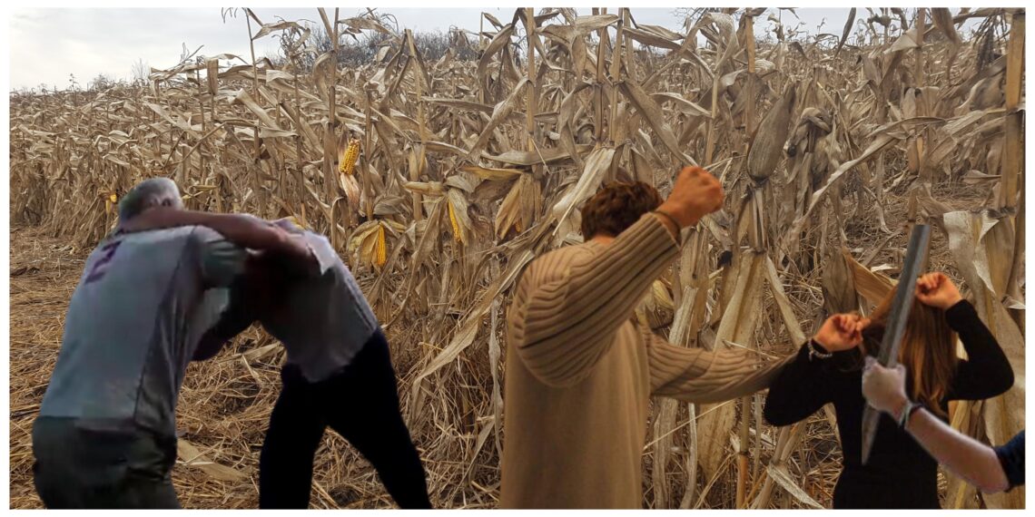 Doi soți au fost bătuți cu sălbăticie de către trei rude, în timp ce culegeau porumbul de pe un teren din zona Liteni. Doi bătăuși au scăpat basma curată, în timp ce unul a primit câteva luni de închisoare cu suspendare