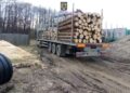 FOTO Polițiștii suceveni au confiscat aproape 100 de metri cubi de material lemnos și un ansamblu de vehicule de circa 40.000 de euro, în trei zile